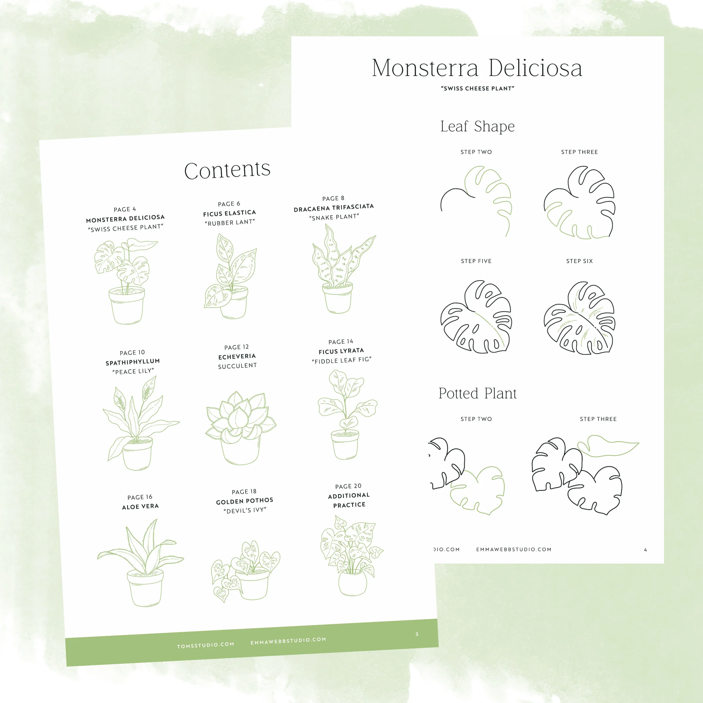 Drawing Guide: House Plants - Image 2