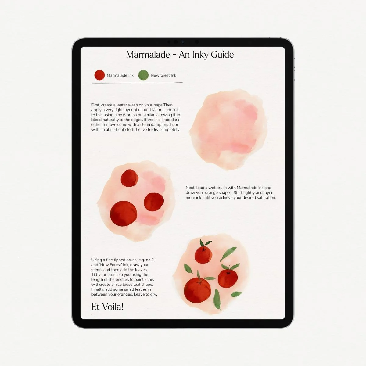 Drawing Guide: Summer Fruits