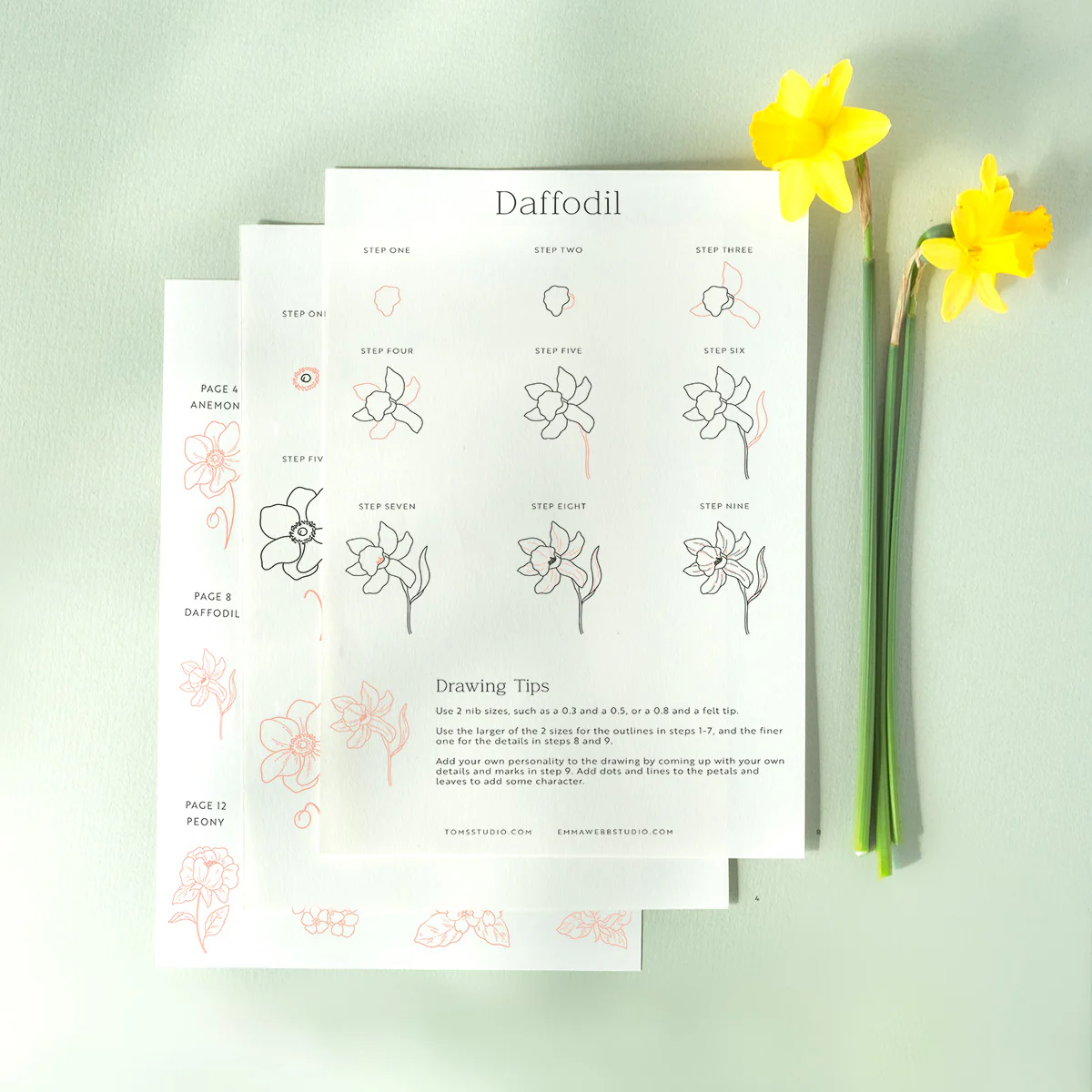 Drawing Guide: English Country Garden - Image 2