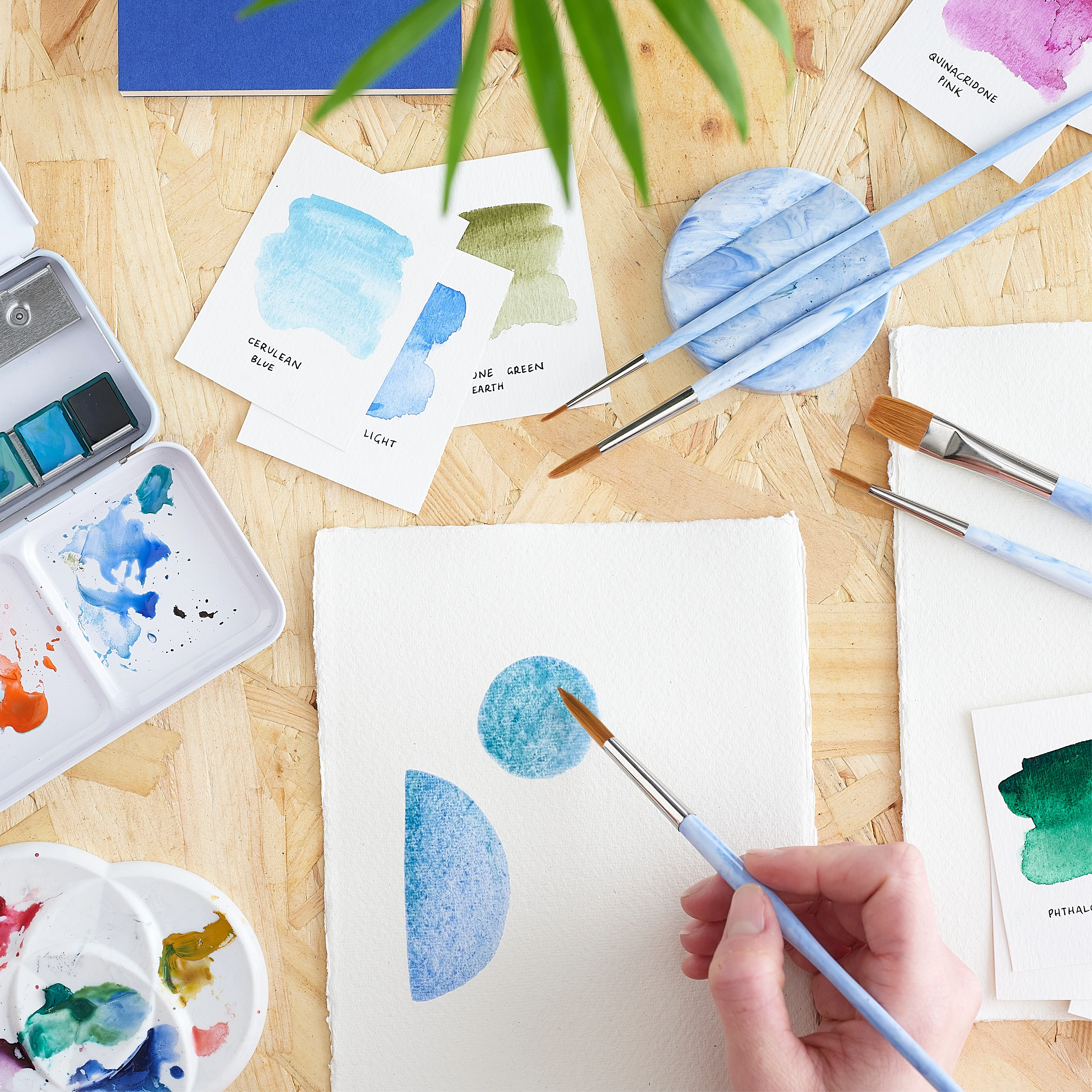Write Off Paintbrush set - Image 4